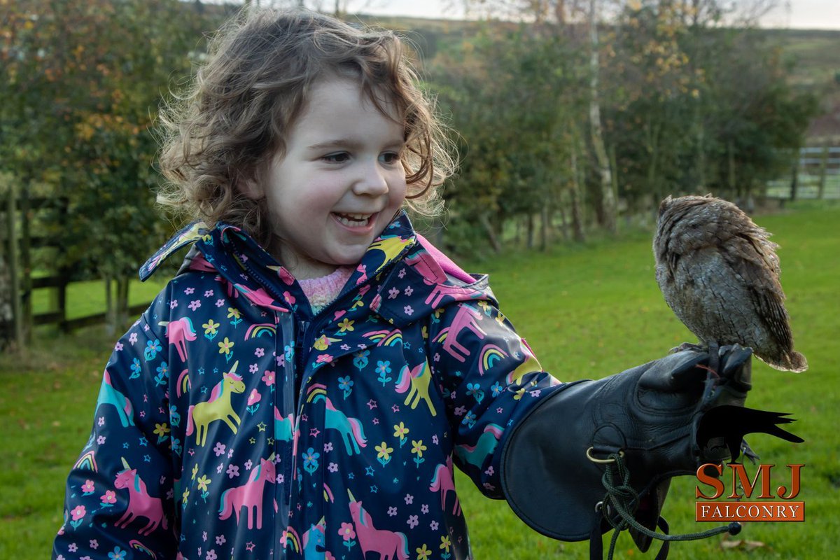 Unleash the magic of owls! ✨ Our Owl Experience Days offer unforgettable encounters for all ages. Learn, fly, and bond with these captivating creatures. 
Find out more today and visit our website.
#owlexperience
 #familyfun
 #birdwatching
 #yorkshire
 #creatememories