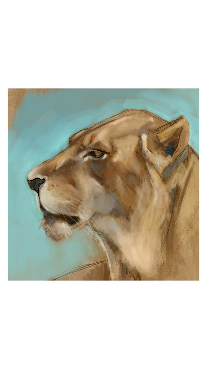 TheDaysIdeas's tweet photo. Lioness head study 
#digitalart https://t.co/T8gkWJ2AyC