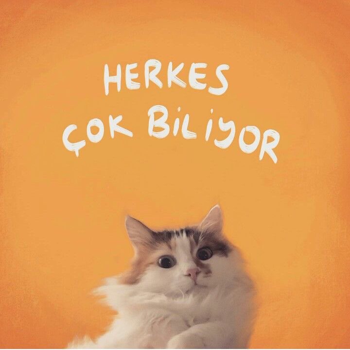 Asya (@asya_bozz_) on Twitter photo 