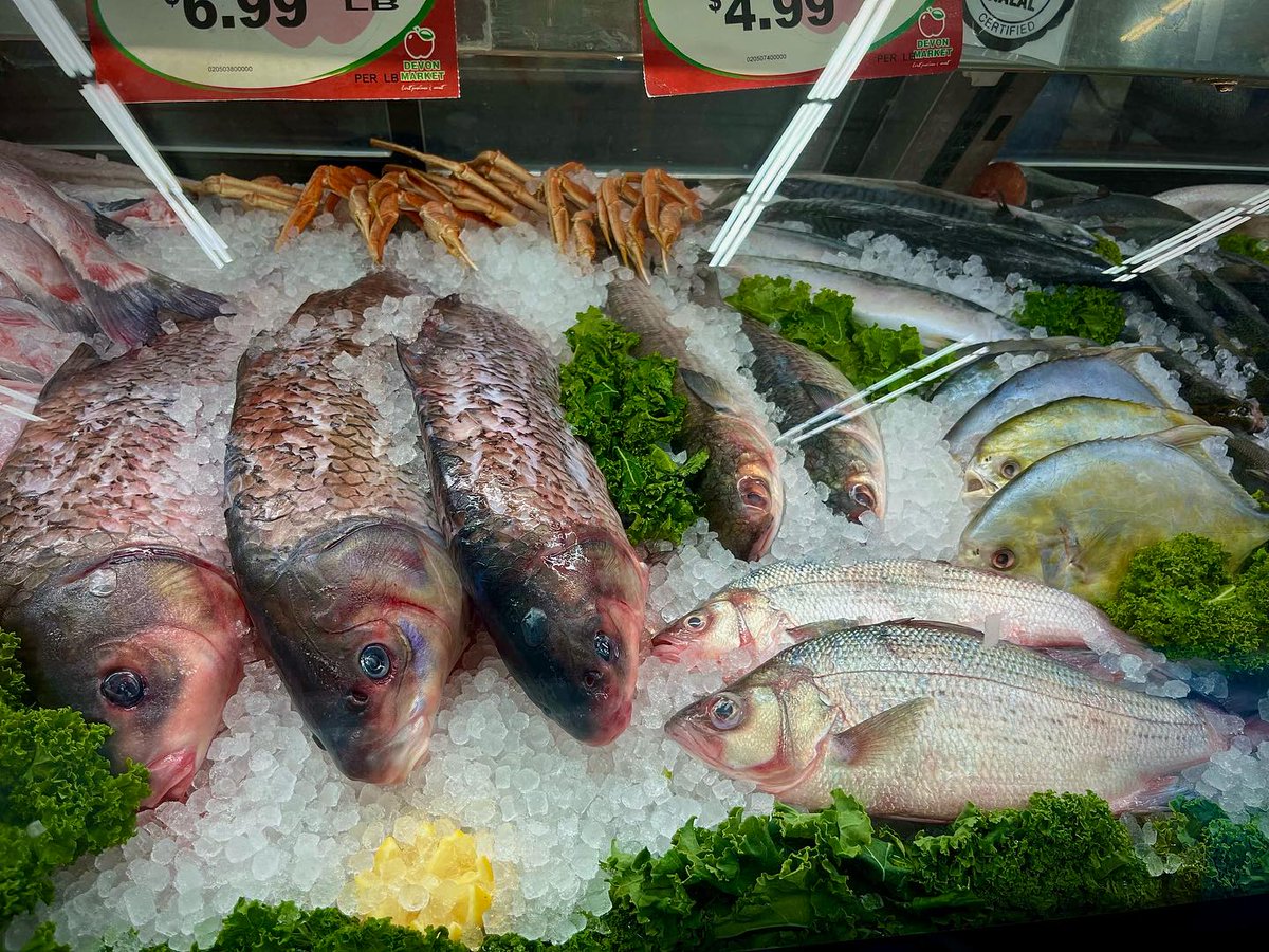 DevonMarket's tweet photo. Freshness at its Finest 🐟🥩 Exploring the Bountiful Sea and Farm-to-Table Delights at Devon Market! . . #rogerspark #edgewater #smallbusinesschicago #shopsmallchicago #loyolauniversitychicago #uic #northwesternuniversity #chicagofoodies #chicagomarket #chicagoneighborhoodgems https://t.co/EhjSXgtPX5
