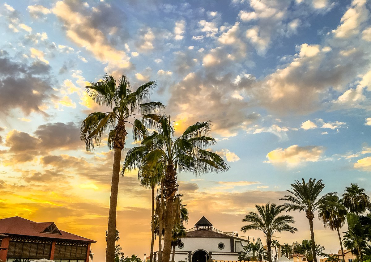 Secret Tenerife tweet media