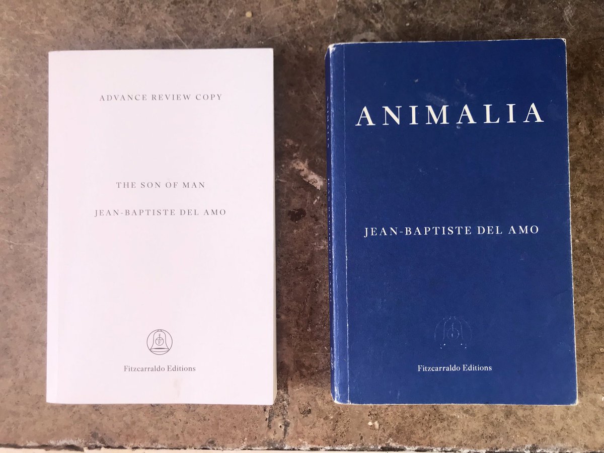 Grateful for this early copy of The Son of Man by Jean-Baptiste Del Amo, trans by @Terribleman. I love his work — like one extended experiment in the wisdom to be gained from an attention to detail.

Thank you @FitzcarraldoEds @clarebot ✨