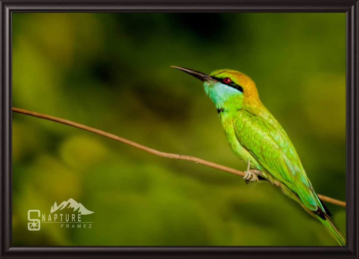 Tweet media one
