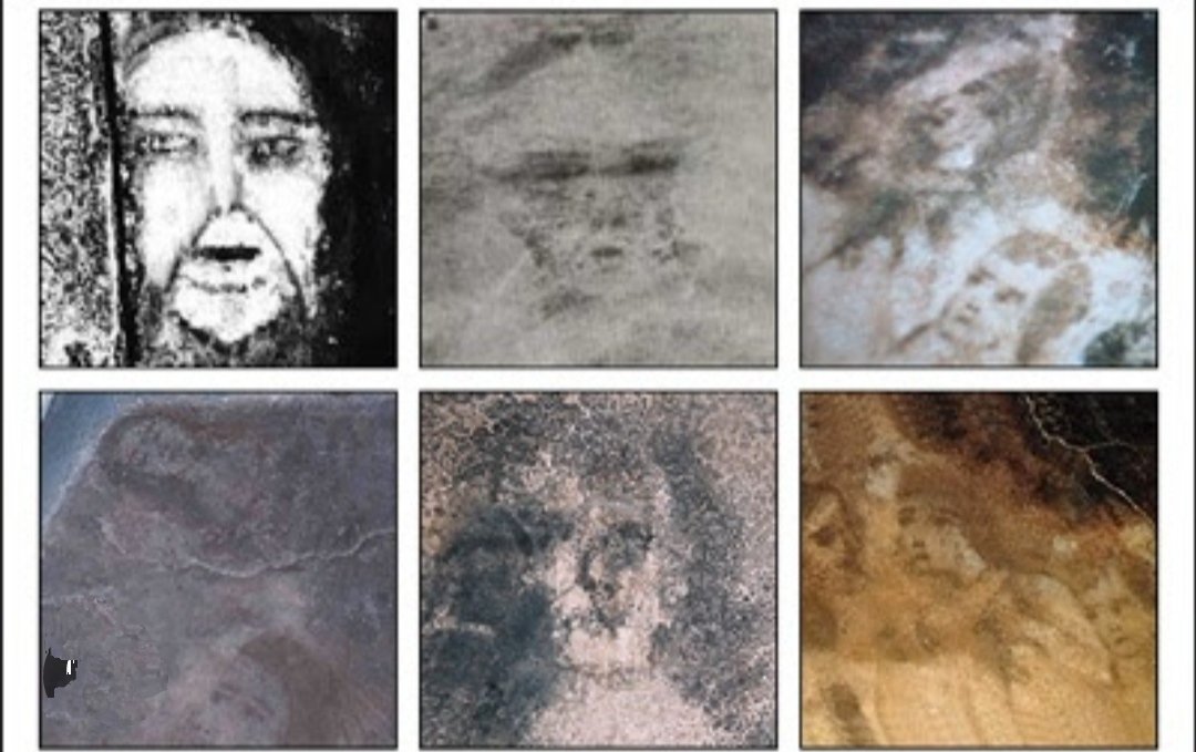 MiCinexin Errante 🌻♊🌷🐈‍⬛ tweet media