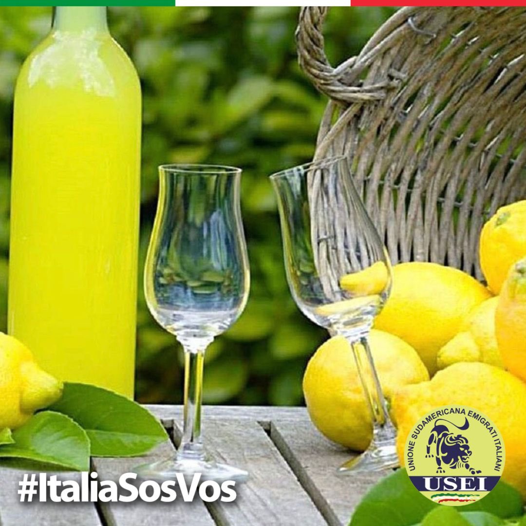 useiufficiale's tweet photo. 🍋El auténtico limoncello sigue siendo el que se obtiene a partir de los limones de Sorrento, de toda la península sorrentina y de Capri. No se trata de un limón cualquiera, sino de un limón grande y oloroso cultivado de modo “biológico” y sin ayuda de abonos. 🇮🇹 #ItaliaSosVos https://t.co/hT7jWt84v9
