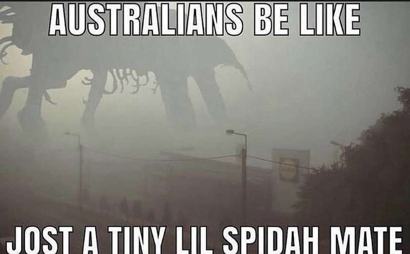 hourly_shitpost's tweet image. 