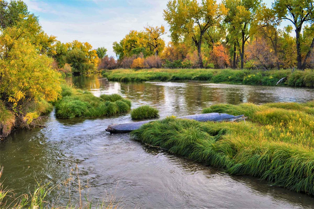 HallandHall's tweet photo. | LISTING | Tongue River Refuge
.
.
.

The Tongue River Refuge is a very private 1,907± deeded acre ranch only ten minutes north of Sheridan. 

https://t.co/DTNHkagmbj https://t.co/6P5Q6BUGm8