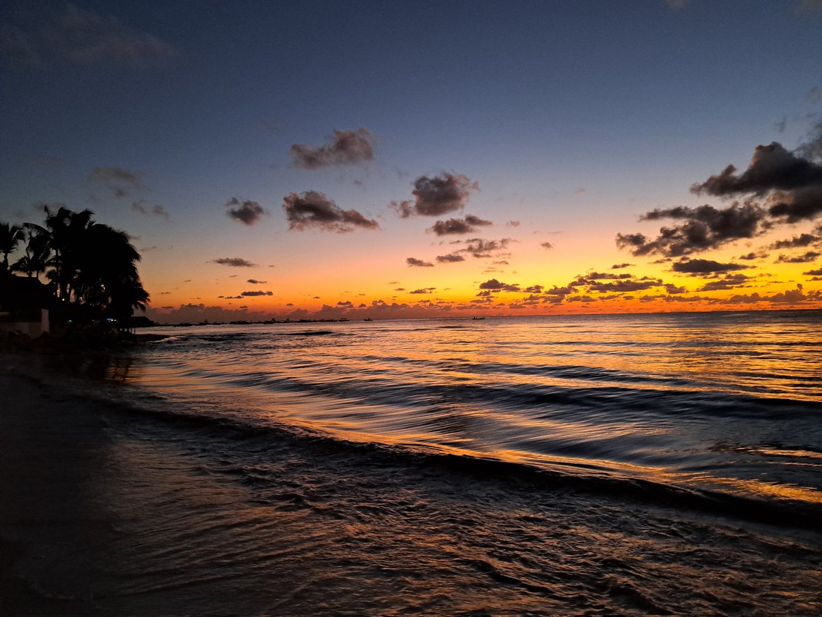 Fernanda Mar tweet media