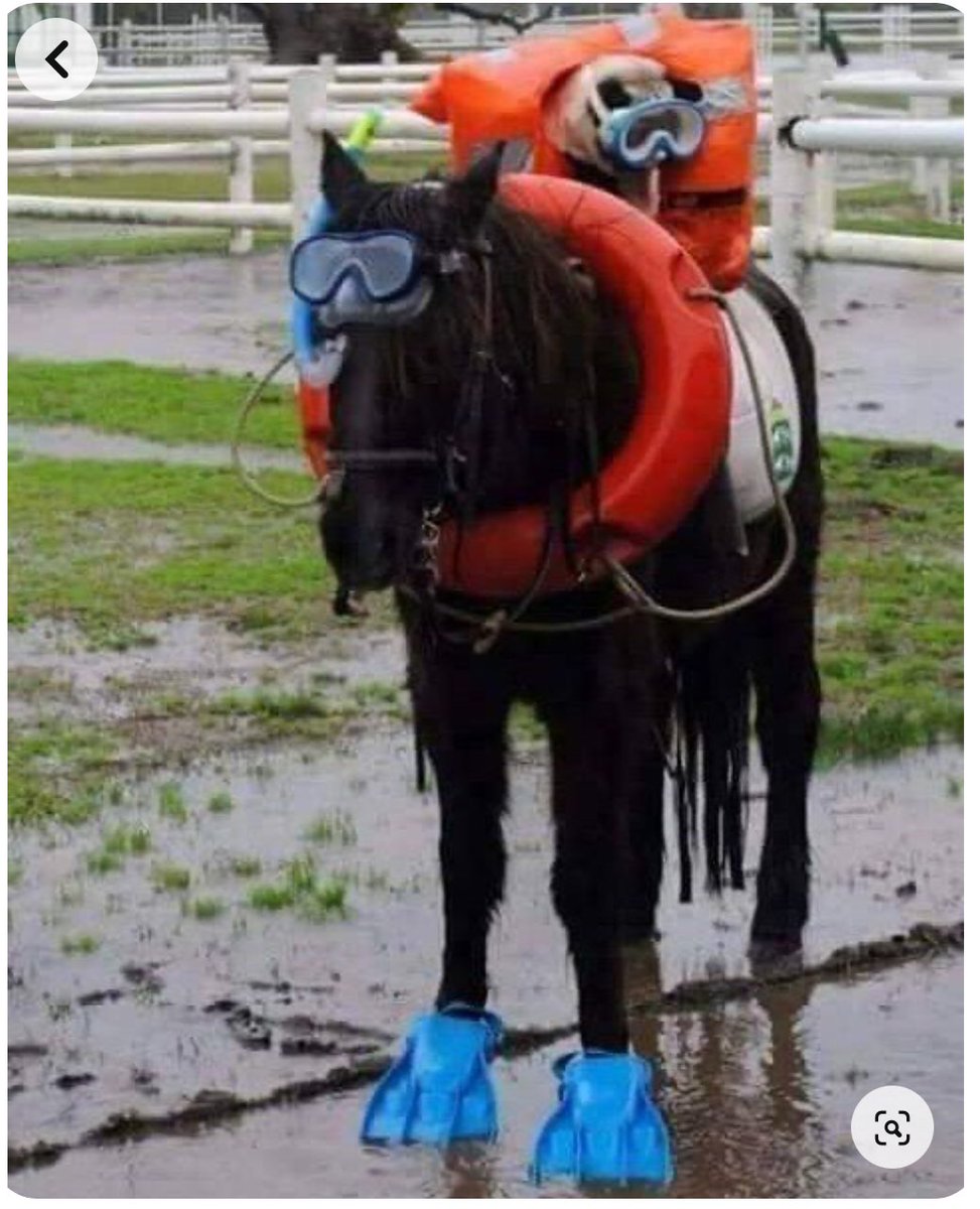 We are looking for to the fixture on Feb 4th. 12 noon first race. £15pp Cash and Card on Gate. Under 16’s free @GoPointing <a href="/MidlandsP2P/">Midlands Pointing</a>