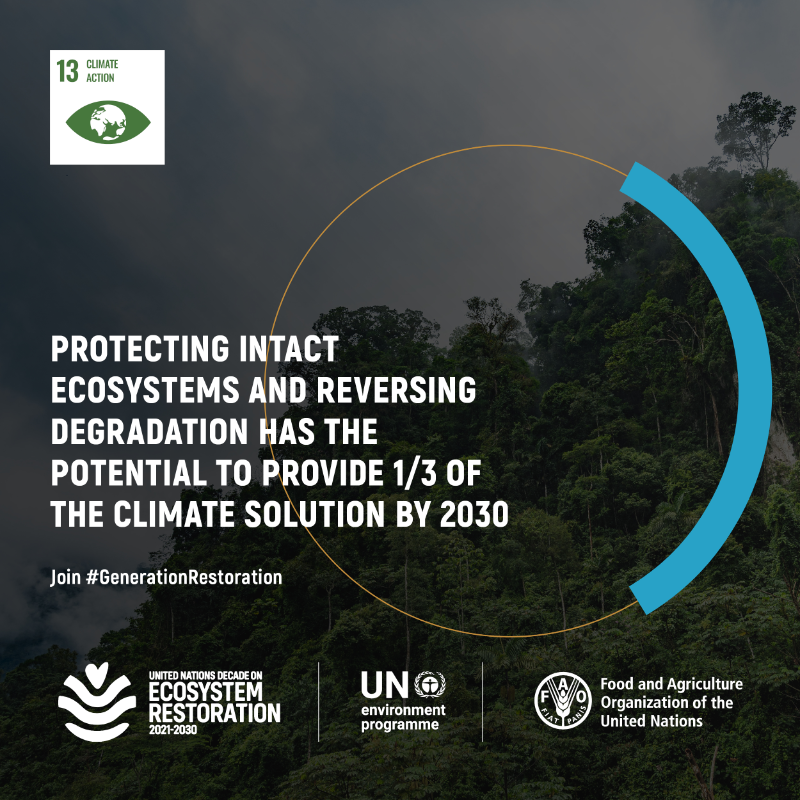 Nature holds the key to many climate solutions.

Ecosystem restoration is critical to limiting global temperature rise below 2°C.

Join #GenerationRestoration and take #ClimateAction: decadeonrestoration.org