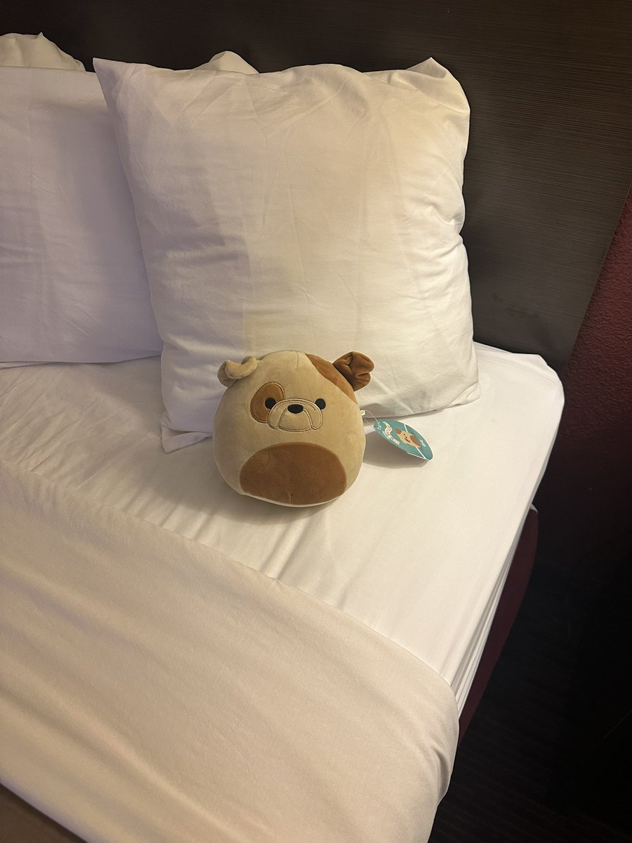 Monday Q Info tweet media