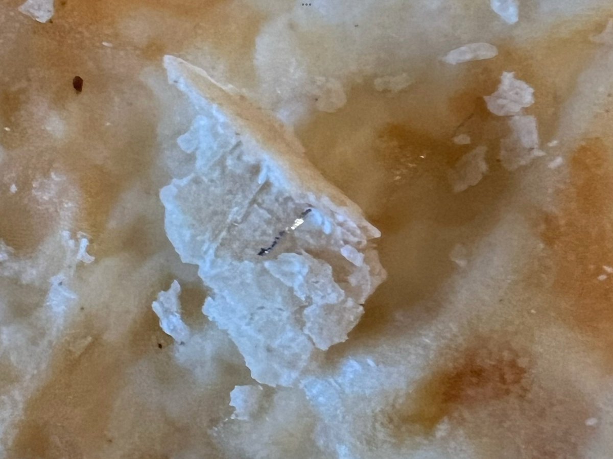 guinness_steve's tweet photo. ⚠️ WARNING! Please be careful if you’ve bought country bakery mature cheddar and ham quiches from @IcelandFoods . They may contain metal shards like the ones I had yesterday. Have notified Iceland head office by phone and email but haven’t heard anything back. https://t.co/sz6XLUblFx
