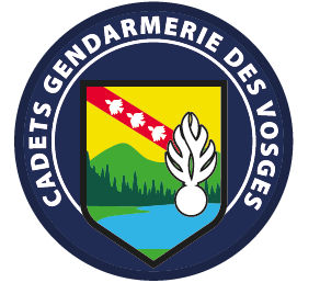 smlh88's tweet photo. Cartes de réduction essentiellement à destination des jeunes des 5 Institutions avec lesquelles la SMLH à des conventions (JSP, PMM, Cadets Gendarmerie, Défense et Protection Civile) https://t.co/qmUhILz2Dc