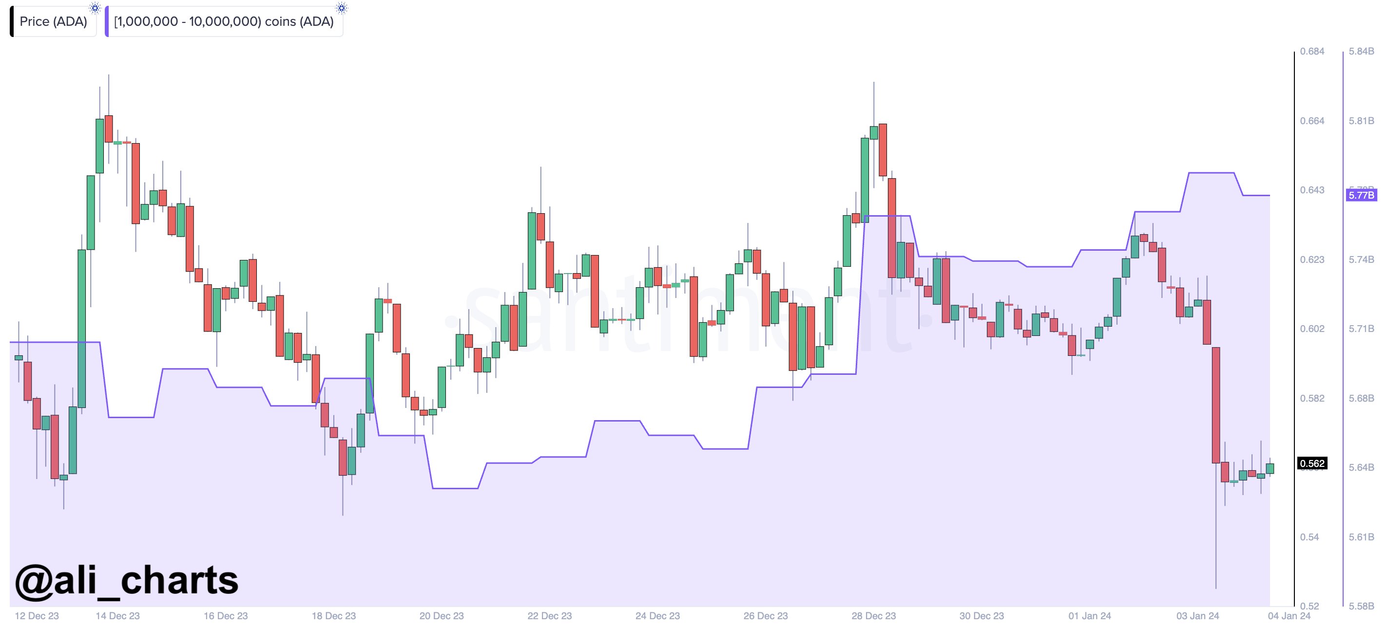 Cardano Whales