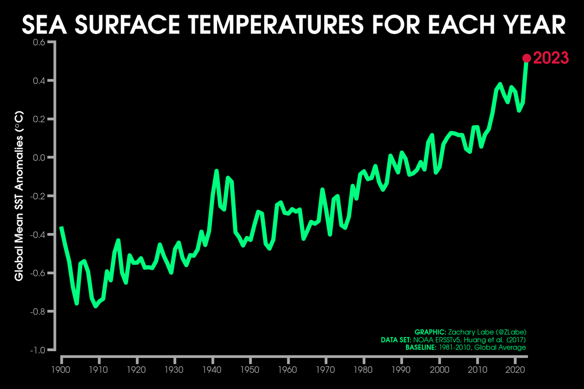 🚨 Last year averaged the highest global mean sea surface temperature on record. 

Extensive warm anomalies stretched across the world's oceans in addition to the ongoing El Niño.

Data from <a href="/NOAA/">NOAA</a> ERSSTv5 averaged from January to December at psl.noaa.gov/data/gridded/d…