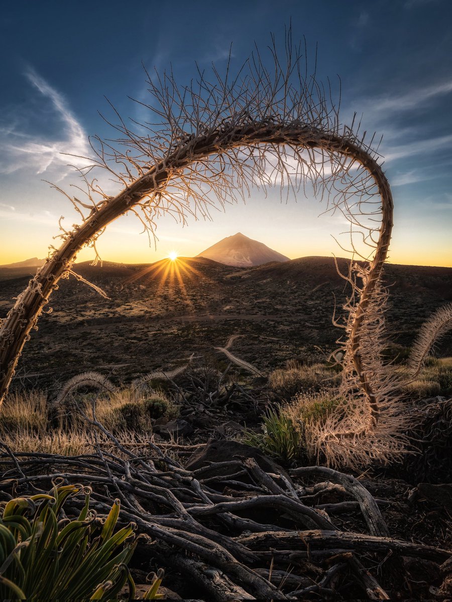 Zeworldphoto's tweet photo. Una de mis grandes pasiones/obsesiones en el mundo de la fotografía de paisaje es enmarcar el Teide con elementos naturales, dejo un hilo con algunos de estos marcos.
(Abro hilo🧵)

1. Tajinaste seco y Teide https://t.co/giSXVIqNhu