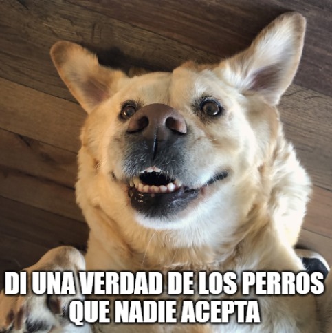 efectoringo's tweet photo. Empezamos nosotros:
𝗗𝗲𝗷𝗮𝗿 ��𝗮́𝘀 𝗱𝗲 𝗹𝗮 𝗺𝗶𝘁𝗮𝗱 𝗱𝗲 𝗹𝗮 𝗰𝗮𝗺𝗮 🛏 𝗽𝗮𝗿𝗮 𝗲𝗹 𝗽𝗲𝗿𝗿𝗼 𝗲𝘀 𝗯𝘂𝗲𝗻𝗼 𝗽𝗮𝗿𝗮 𝗹𝗮 𝘀𝗮𝗹𝘂𝗱, 𝗻𝗼 𝘁𝗲𝗻𝗲𝗺𝗼𝘀 𝗽𝗿𝘂𝗲𝗯𝗮𝘀 𝗽𝗲𝗿𝗼 𝘁𝗮𝗺𝗽𝗼𝗰𝗼 𝗱𝘂𝗱𝗮𝘀 🐶.
Ahora los leemos 💬 https://t.co/efNqNJAZiU
