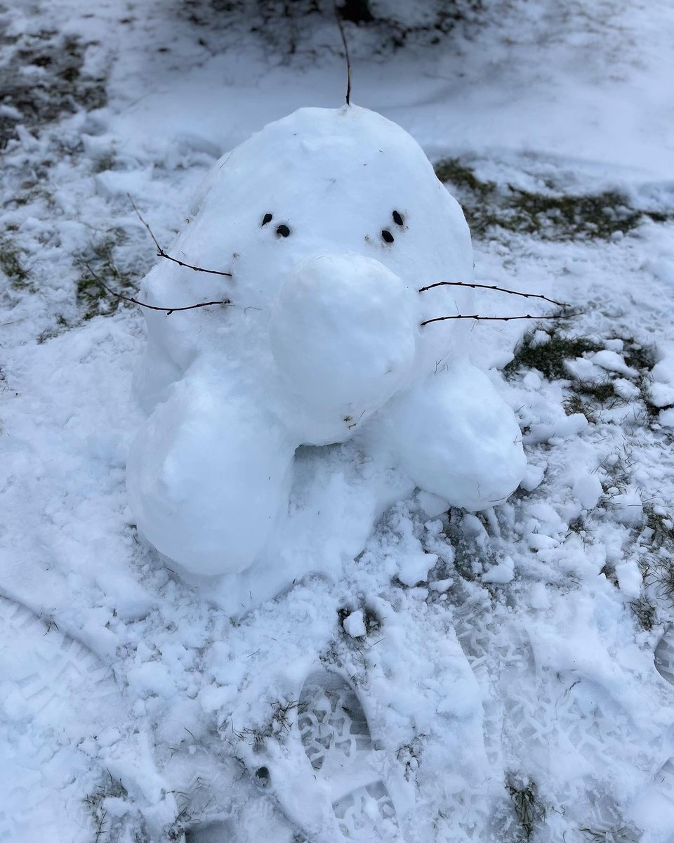 I created Mr Saturn in the snow