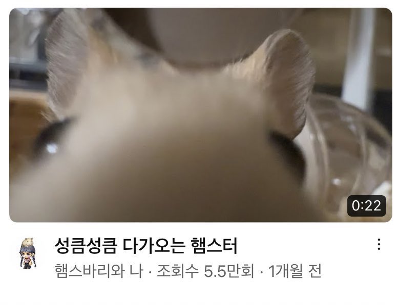 성큼성큼 다가오는 횬스터