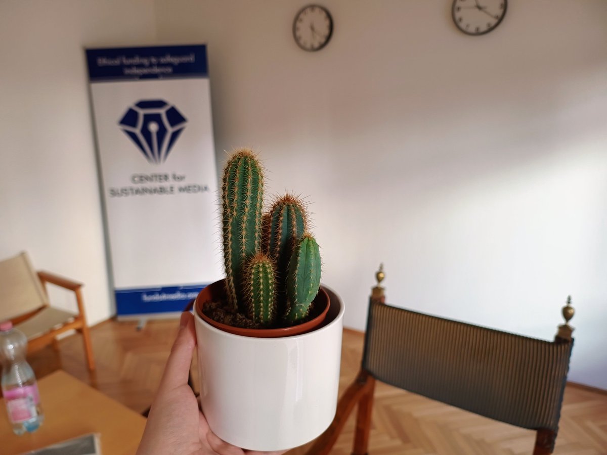 funds4media's tweet photo. Does this plant have what it takes to thrive in the fast-paced environment of European media funding? (Also, thanks for our very first office warming gift Anita Neizer @G7gazdasag) https://t.co/QoaTnZLuJK