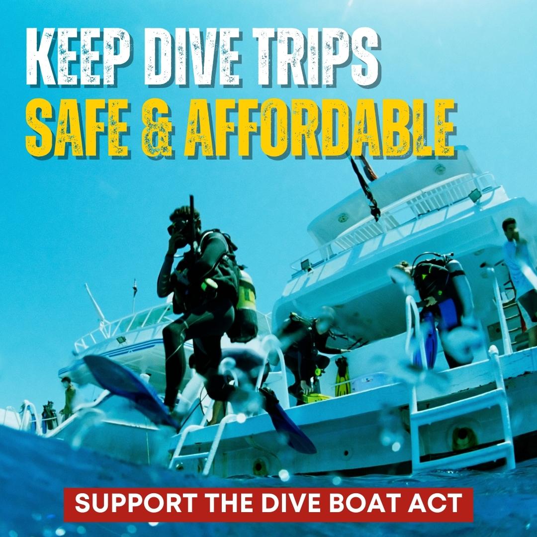 DEMAorg's tweet photo. 🤿 Divers! Have you noticed a dramatic increase in dive trip prices? Here’s why and what you can do about it. 📷 https://t.co/BOQW1wcCvL 

#DIVEBOATAct #Scuba #ScubaDiving #ScubaDiver #DiveTravel #DEMA #ScubaDive #ScubaDiverLife https://t.co/CicfYKKbO5