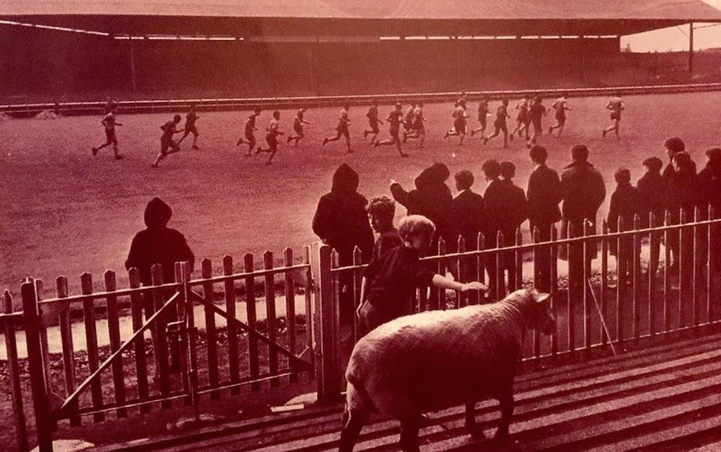 Captain Conker🐿 tweet media