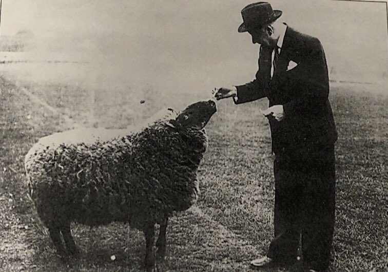 Captain Conker🐿 tweet media