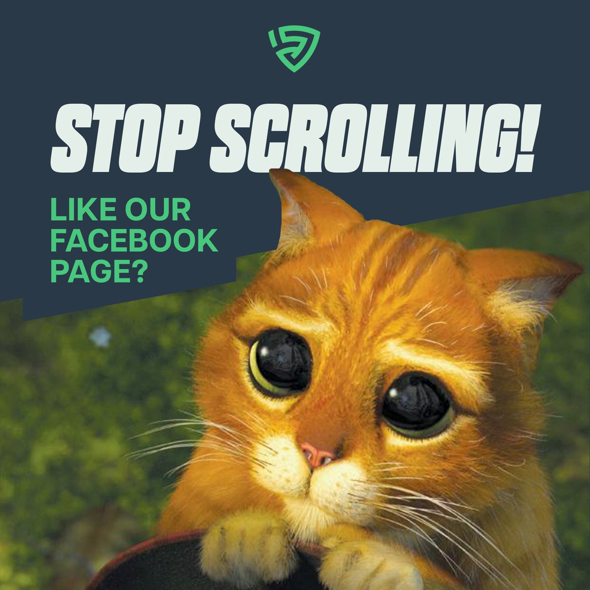 🛑STOP!

Like our Facebook Page? Please?
➡️facebook.com/JFXVisualz