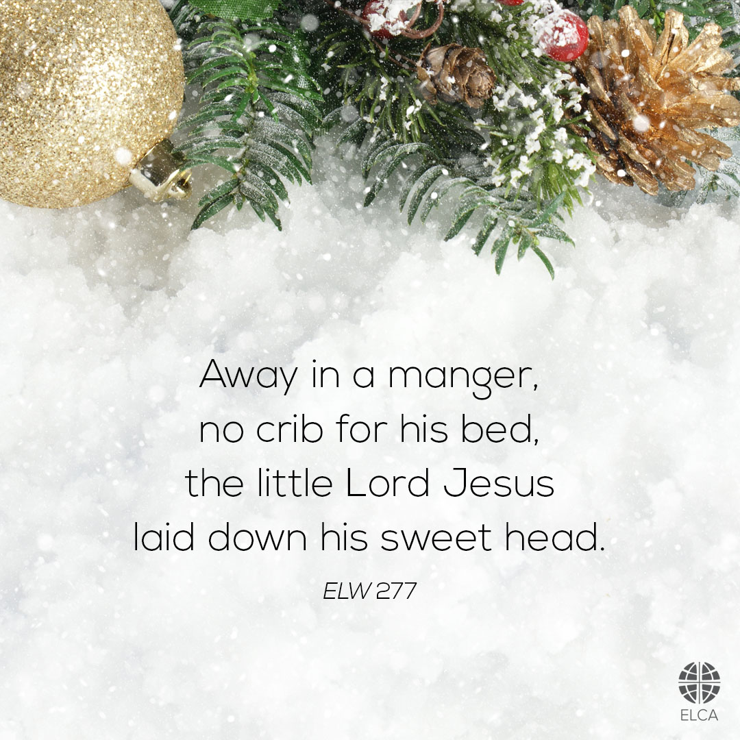Today is the eleventh day of Christmas. 🎄 "Away in a manger, no crib for his bed, the little Lord Jesus laid down his sweet head; the stars in the bright sky looked down where he lay, the little Lord Jesus asleep on the hay" (ELW 277).