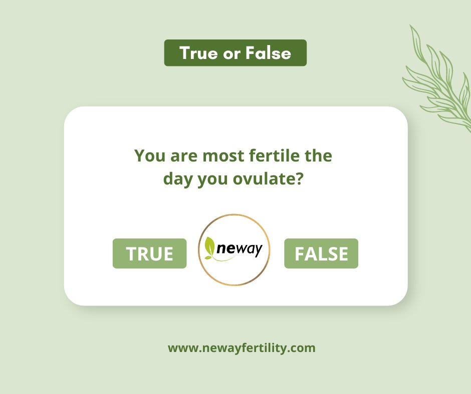 NewayFertility's tweet photo. #ThursdayTruth ✅ TRUE ~ you are most fertile just BEFORE or DURING the first day of ovulation.
#ovulation #TrackOvulation #fertilewindow #fertile #fertilityfacts #ttc #newayfertility https://t.co/neqKsHWznx