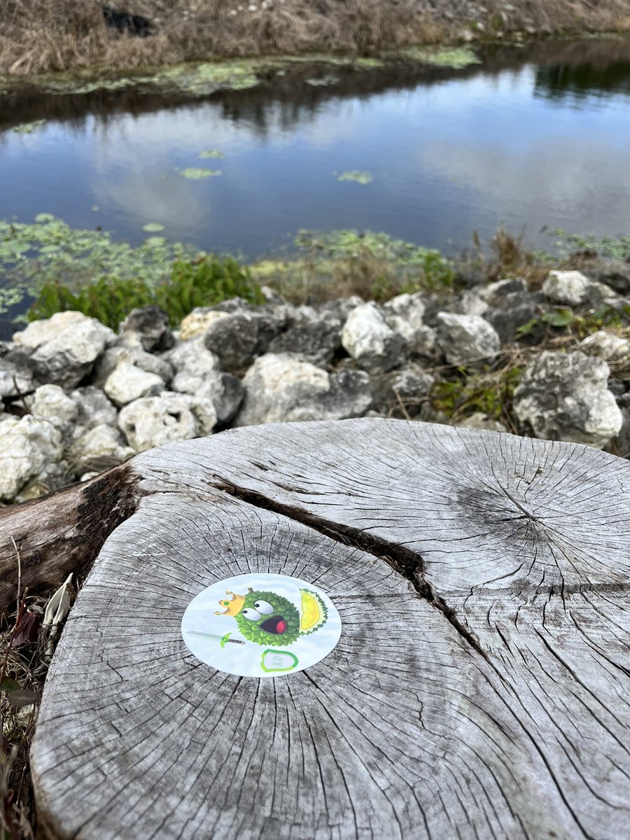 FreshMarketCrew's tweet photo. 1st trash cleanup of 2024 🚮🌲☀️ GM

A nice walk & mush trash to grab. Snuck a beer on the trip, King Durian enjoyed. New Year horns topped the bag! 🍺🎉

10 lbs. of trash owed to collectors - 5 lbs. picked up = 5 left 👀

Dedicated to recent collectors ❤️‍🔥
@AgentCGonzalez
@McFlyGuysNFT 
@UnitedSaints