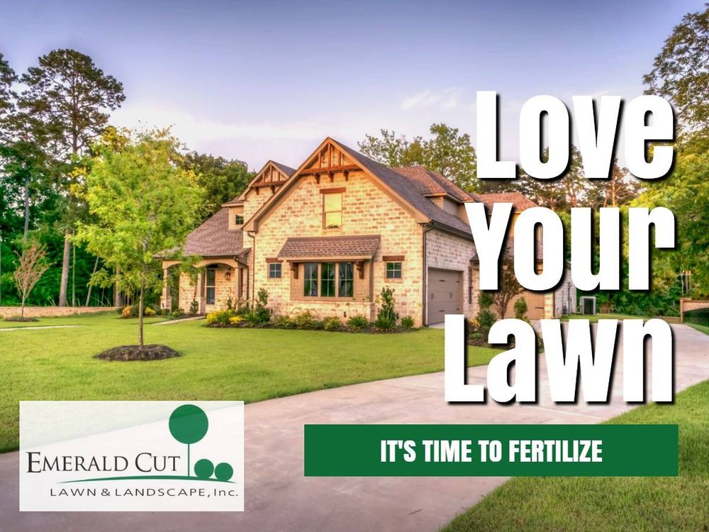 🥳🙌🏼New Year Special! Tag your neighbors and friends; each of you will receive 10% off our annual fertilization program, customized to the unique needs of your lawn and landscape, and to your 2024 #GreenGoals #LawnCare #DFW #Landscaping #Fertilization EmeraldCutLawns.com