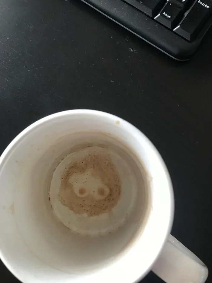 Νίκοσεκ 🌮 tweet media