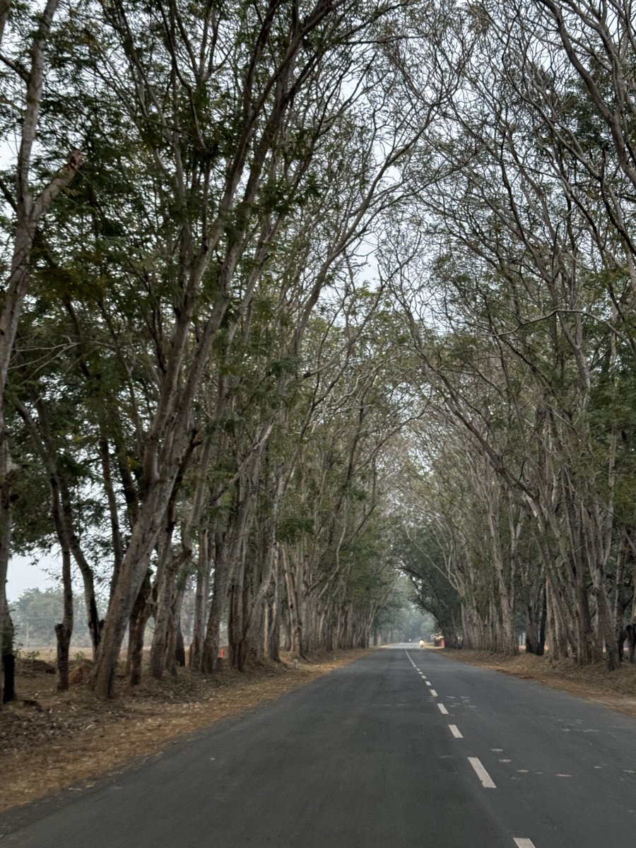 sidpatankar's tweet photo. And now I’m already on roadtrip #2! This time it’s a 200 km drive I’ve been on today from Raipur to Kanha. And I had quite the potent steed…
SVP
#audiindia #RS5 #sportssedan #red #givemered https://t.co/9dedmUxODO