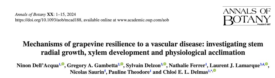 Chloé Delmas (@cel_delmas) on Twitter photo Interested in vascular pathogenesis in perennial plants? 👇
New paper led by <a href="/NinonDellAcqua/">Ninon Dell’Acqua</a> exploring the relationships between stem growth dynamics, physiology and xylem anatomy during esca pathogenesis in grapevine! <a href="/annbot/">Annals of Botany</a>
=> shorturl.at/MNTX6
1/2 Interested in vascular pathogenesis in perennial plants? 👇
New paper led by <a href="/NinonDellAcqua/">Ninon Dell’Acqua</a> exploring the relationships between stem growth dynamics, physiology and xylem anatomy during esca pathogenesis in grapevine! <a href="/annbot/">Annals of Botany</a>
=> shorturl.at/MNTX6
1/2