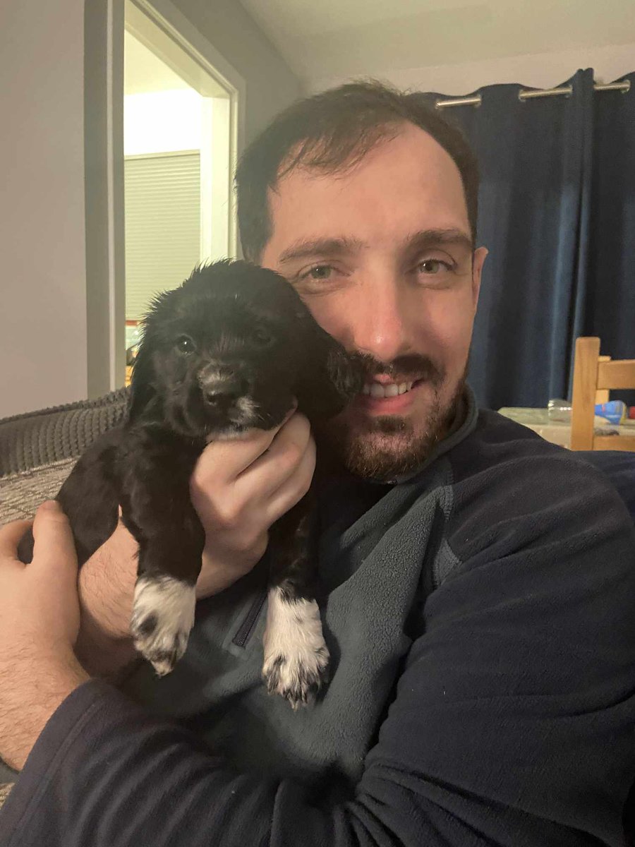 JodieCockerell's tweet photo. And just like that our little Socks turns 1! 🐾 💕 #dogs #mansbestfriend https://t.co/wvnvBU07rd