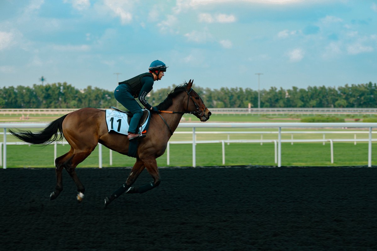 Some EQUILATERAL for your Sunday 😍 @DowellNichole @cbhills #DubaiCarnival