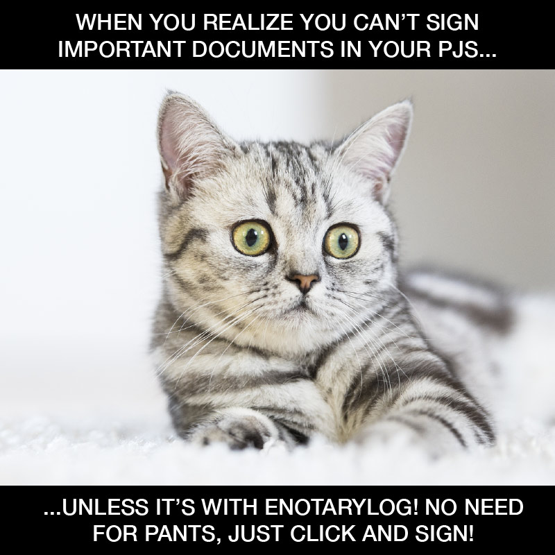 eNotarylog's tweet image. When you realize you can&apos;t sign important documents in your PJs… Unless it&apos;s with #eNotaryLog! No need for pants, just click and sign! #CatMemes #eNotary #NotaryLife #NotaryPublic #RemoteNotary #VirtualNotary hubs.la/Q02dKV4g0