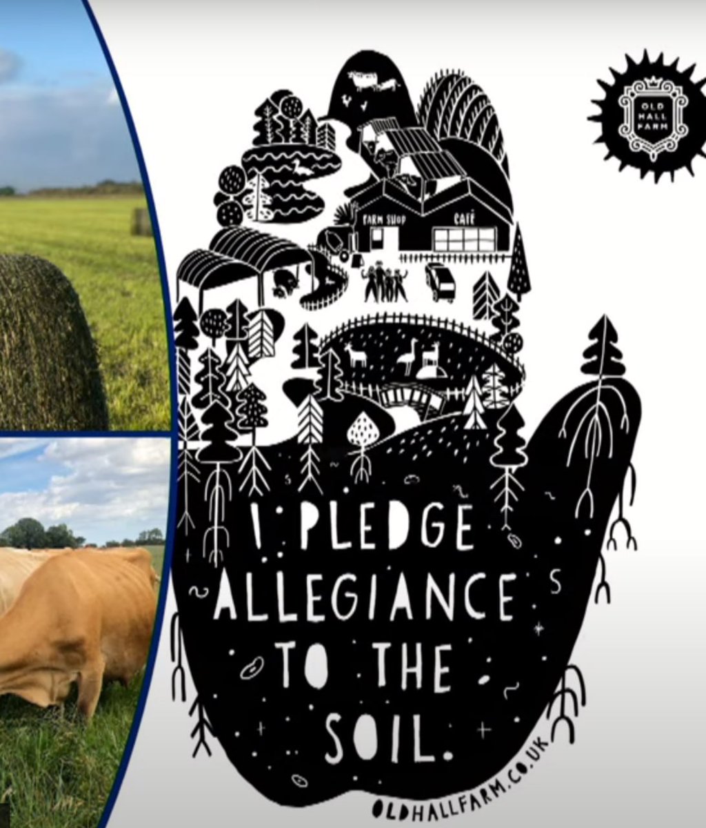 Love this pledge to the soil 😞
Farm Deep Dive with Rebecca Mayhew - Old Hall Farm a 500 acre farm turned into a regenerative oasis. Inspirational #regenerativefarming #regenerativeagriculture #regenag #oldhallfarm #soil #holistic #holisticmanagement #ORFC24
