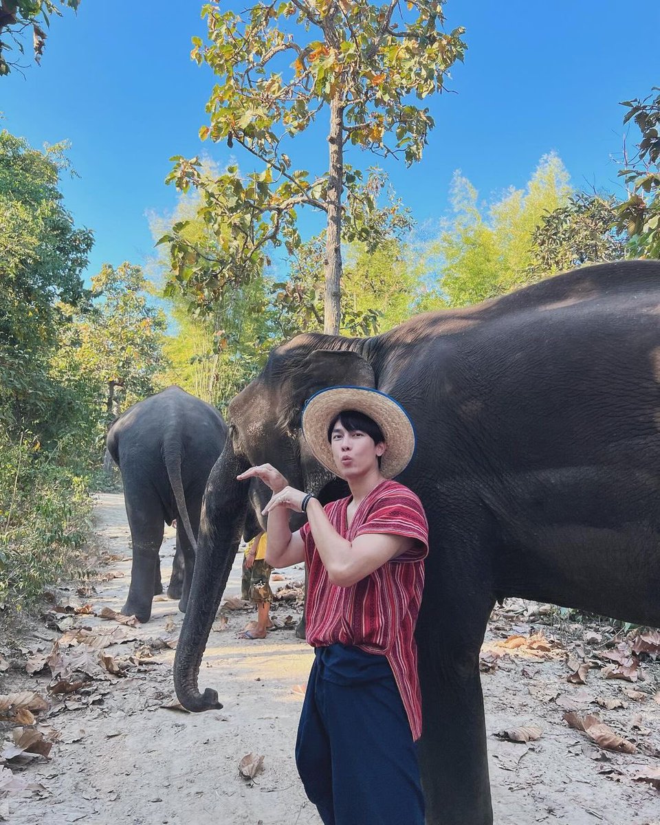PhraPhai9's tweet photo. จากไอคลาว..หนุ่มนาเลี้ยงควาย กลายเป็นพ่อเลี้ยงมิว..หนุ่มเหนือเลี้ยงช้างละ..เหมือนตัวที่ยัยน้องปั้นมาฝากป่ะพี่มิว..ที่หางหลุดก็ยังเก็บไว้อย่างดีอะ🤭
@MSuppasit 
#MewSuppasit https://t.co/VUEfs6kMhr
