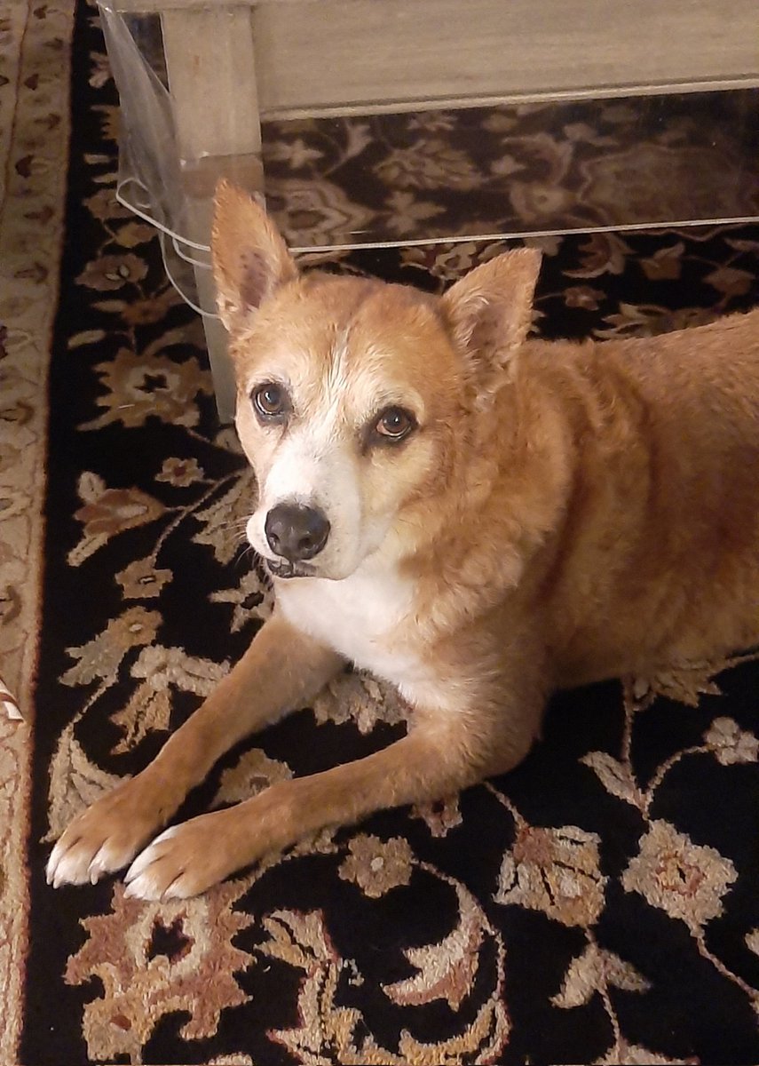 Sheriff Elton tweet media