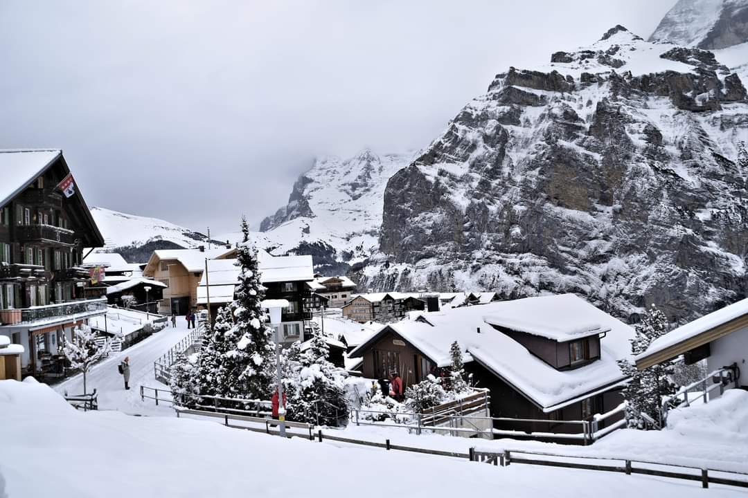 Lovely day after the overnight snow.

Village(1638m): 55cm
Schilthorn (2970m): 204cm
Avalanche: 3 🟧

#schilthorn #murren #jungfrauregion #Switzerland #ThePhotoHour #SnowHour #StormHour