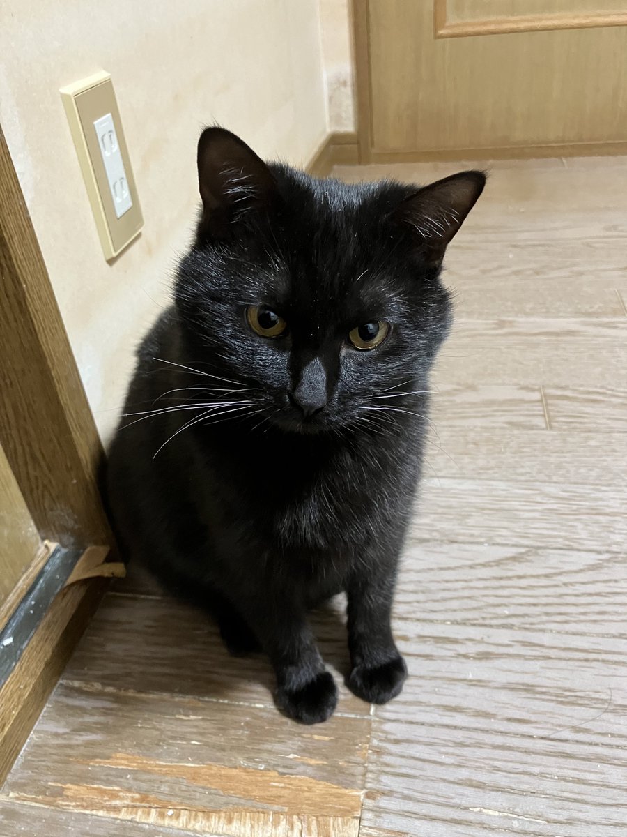 ElSol60310969's tweet photo. 穏やかな夜になりますように
おやすみなさい https://t.co/BjIPGXHYZS
