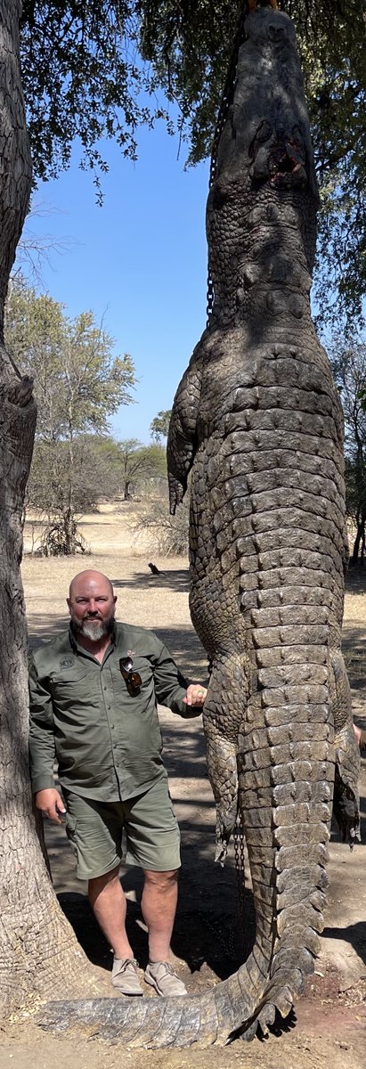 Safari Journal New Year 2024 🇳🇦 - mailchi.mp/4de52b70f512/s…