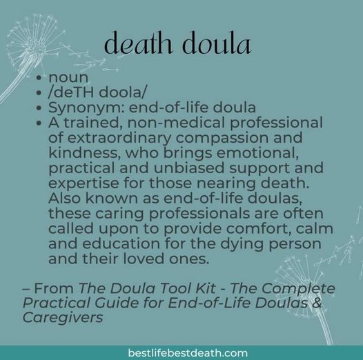 Pushing Up Daisies tweet media