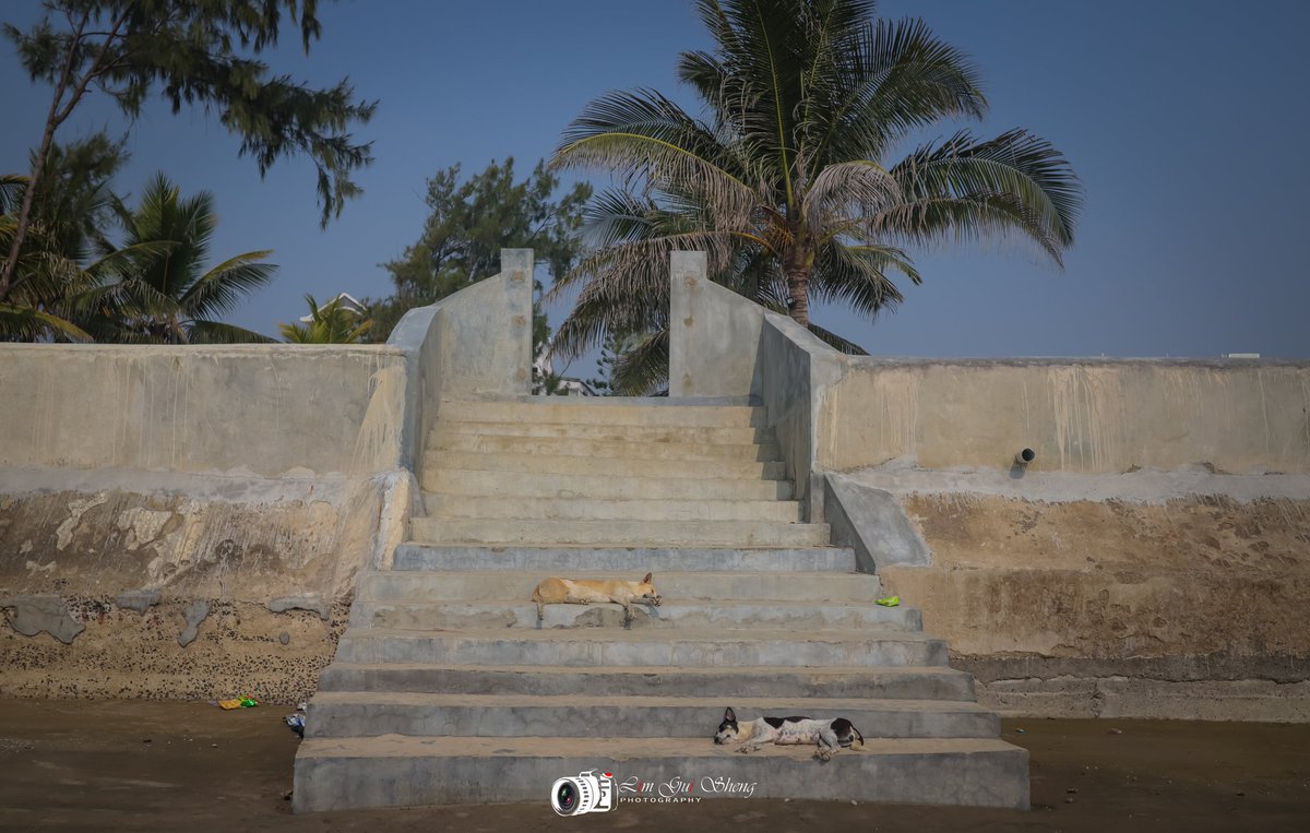 LimGuiSheng's tweet photo. What a day at the beach !!!!!!
@Canon_India
@LimGuiSheng
#limguishengphotography
#artist #shotoftheday
#canonfanboy #canonforever
#lovecapturing #memories
#2024NewYear #firstpost https://t.co/1GdCv6wGtq