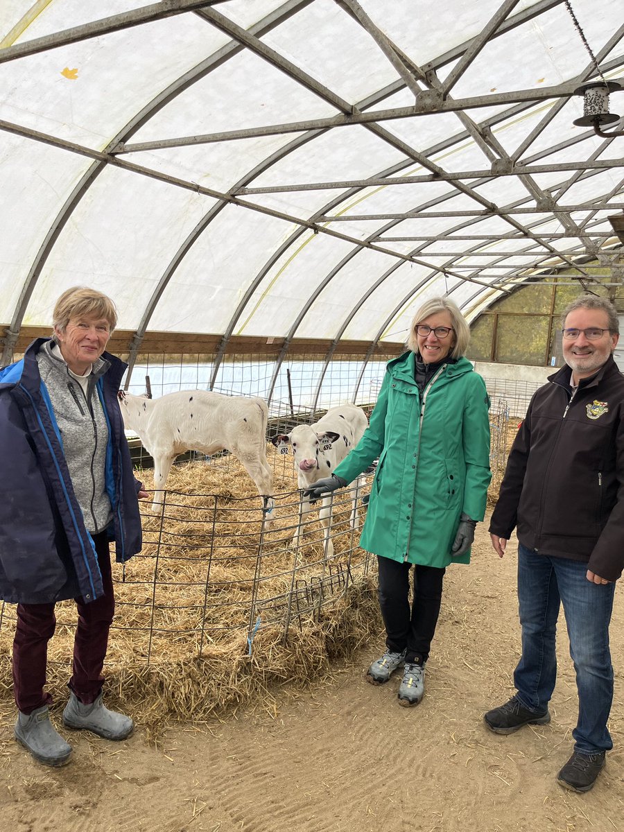 Livestock Research Innovation Corporation tweet media