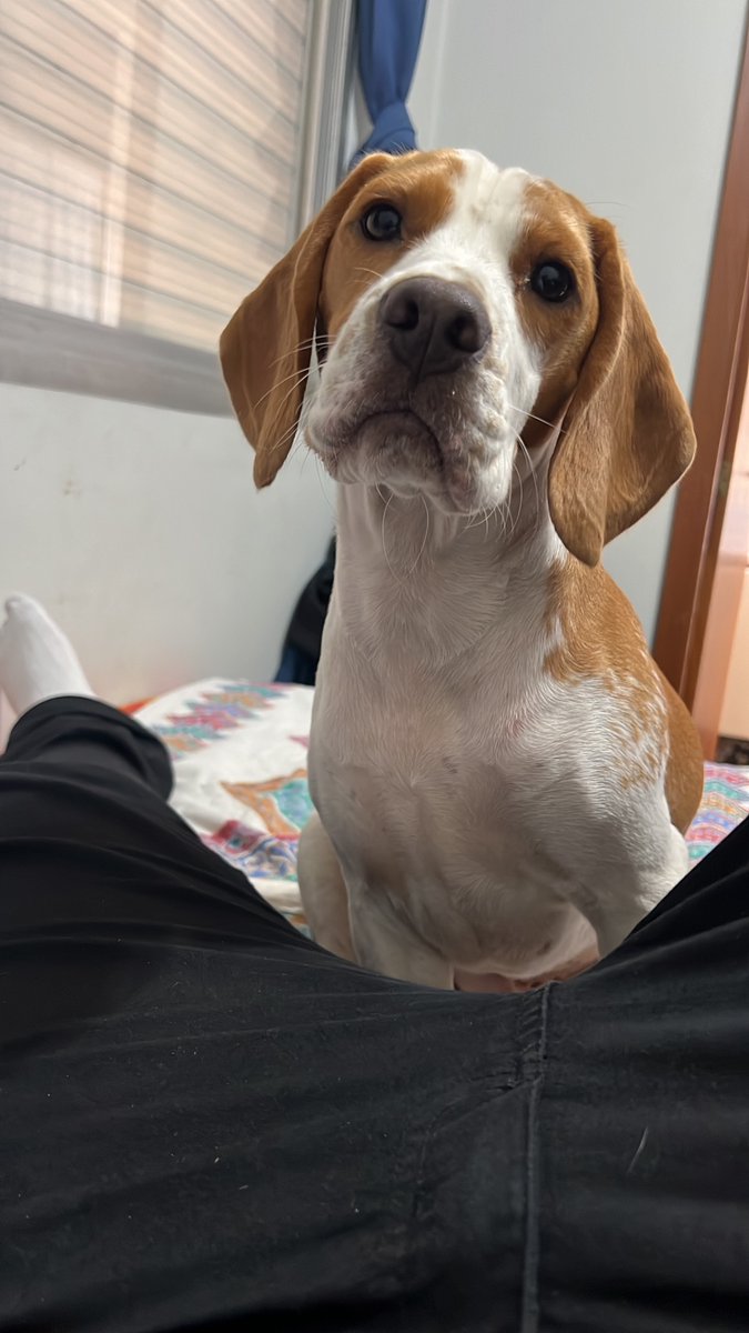 Movido na força do sono tweet media