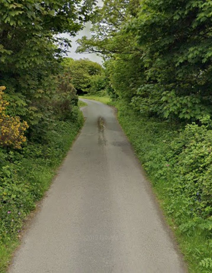 Still yucky at my Wheal Alfred work patch yesterday but did find a few more ticks. Greenfinch, Meadow Pipit, Fieldfare and Bullfinch added to the total. I work with rescue dogs so all birds seen throughout the year are seen whilst walking the dogs. #pwc2024 <a href="/PatchBirding/">Patchwork Challenge</a>