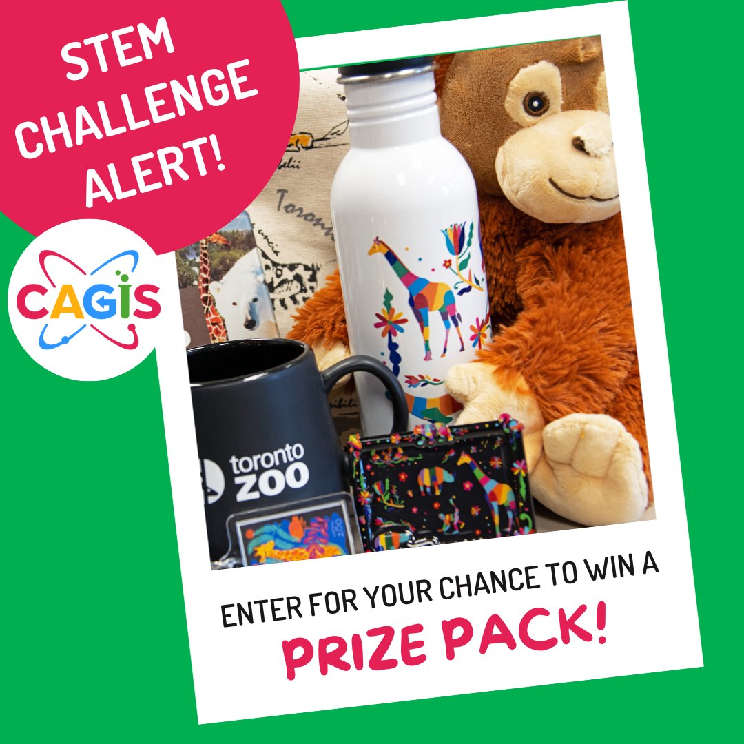 Have you entered our Conservation STEM Challenge yet? → Watch Off Limits: Black-footed Ferrets → Complete the Challenge → Submit your entry for a chance to win a $250 prize from @thetorontozoo Enter by 11:59 pm PT on JAN 12 at Clubhouse.GirlsInScience.ca/Conservation-S…